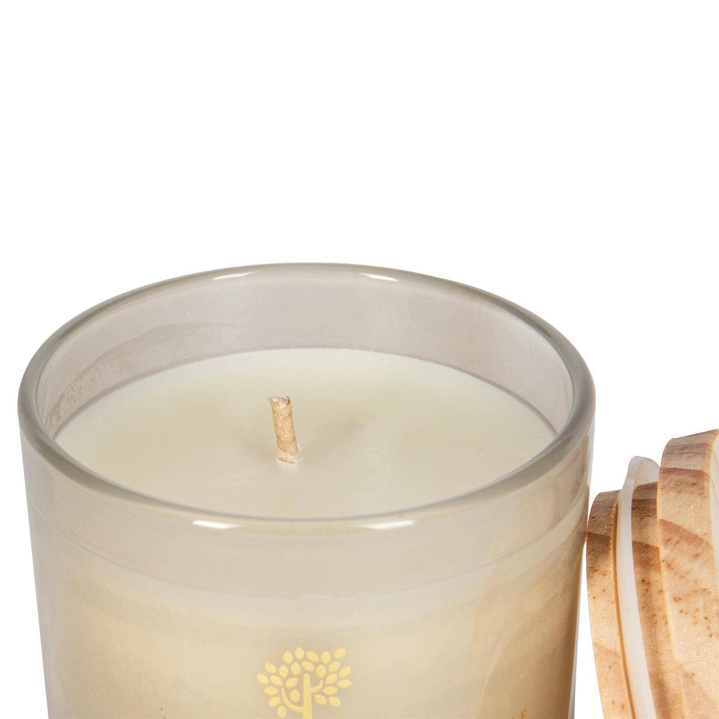 Nicola Spring Green Pomelo & Passion Fruit Wax Candle